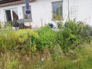 Ferienwohnung - Wittenburg - 0
