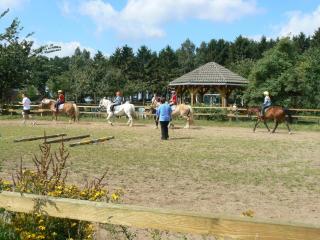 Ferienhof Frohne - Zur zahmen Sau - 1