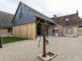 Maison paisible avec jardin clos à Cheverny, proche commerces et Château de Tintin - FR-1-491-391 - Cheverny - 6