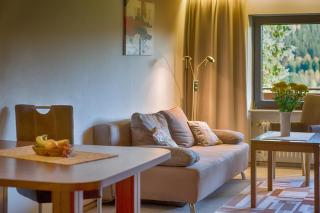 Drei Tannen - Wohnung 05 - Apartmenthaus, Titisee, nahe Badeparadies - Titisee-Neustadt - 7