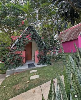 Chalé das hortênsias - 0