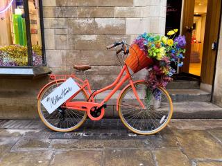 Expert Stays 2 BR Central Cambridge - Chesterton - 1