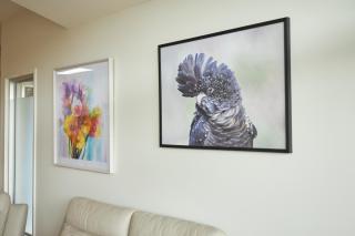 Jan Juc Beach Home - Torquay - 4