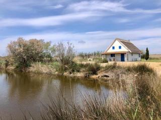 Cabane de Gardian 6 pers, nature, animaux admis, parking - FR-1-475-186 - Saintes-Maries-de-la-Mer - 0