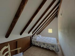 Cabane de Gardian 6 pers, nature, animaux admis, parking - FR-1-475-186 - Saintes-Maries-de-la-Mer - 4