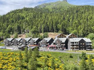 Coquet studio avec terrasse au Lioran, animaux admis - FR-1-787-119 - Laveissière - 4