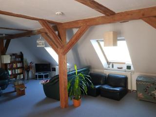Ferienwohnung Vogelsang-Jaenicke - Neuburg - 9