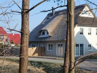 Kleine Seenixe - Zingst - 0