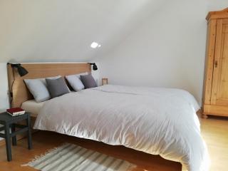 Alte Stellmacherei - Ferienwohnung 2 - Riepsdorf - 4