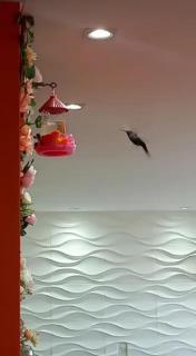 Marsallis Praia JR 502 - Natal - 6