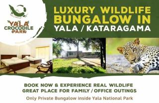Crocodile park Bungalow - 9