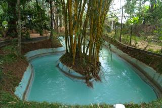Pomma Holidays and Resorts - Muthanga - 0