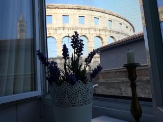 Amphiteater Art Apartman - Pula - 0