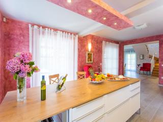 Villa in Istria with Pool and Sauna - 2