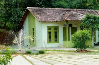Ayurnest Pool Resort Wayanad - Batheri - 7