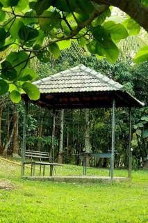 Ayurnest Pool Resort Wayanad - Batheri - 6
