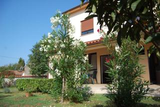 Apartment 3M - Pula - 3