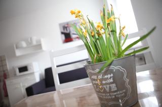 Bermuda Apartment - 6