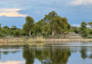 Simanya River Lodge -  - 1