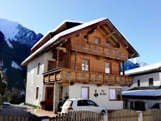 Apartment in Mayrhofen with a balcony - Mayrhofen - 1