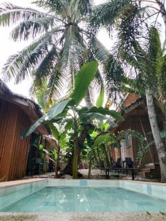 Ecostay Panglao Resort Hotel - Panglao - 1