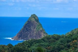 Bungalow avec piscine au cœur de la campagne Vert - 8