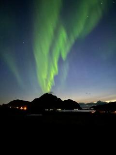 Seacabin in Lilleeidet Marina - Gravdal - 7