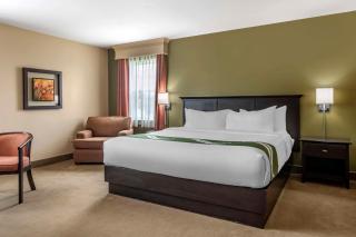 Quality Inn & Suites Quispamsis - Saint John - 3