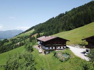 Wimmers Hundsegghof WILD001 - Niederau - 9