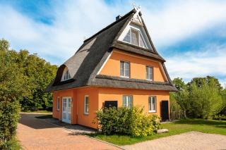 Exklusiv Reethaus Löwe C3 - Gramkow - 3