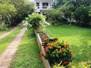 White Square Home-stay - Wellawaya - 3