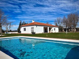 Villa Mercedes - Argamasilla de Calatrava - 5