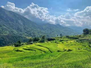 La Rosa Homestay - Sapa - 7