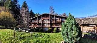 Studio Cabine Combloux - 1