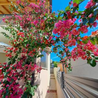 Villa Lilly - Kastel Novi - 8