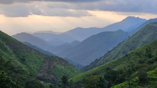Drizzlemount rooms and homestay - Vagamon - 3