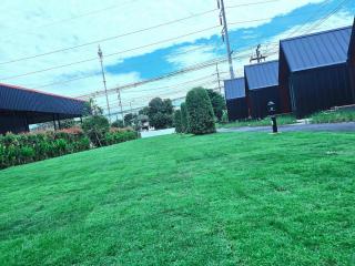 Nordic SkyBird Hill Chill - 1