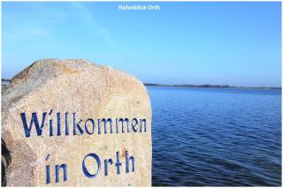 Hafenblick Orth - 6