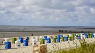 Sandwall Whg 1 Amrum - Wyk auf Föhr - 2