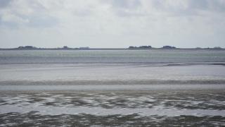 Sandwall Whg 3 Hooge - 6