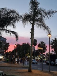 Grace's Home - Ladispoli - 0
