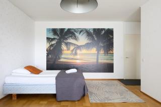 Spacious one-bedroom apartment on the River Aura - 4