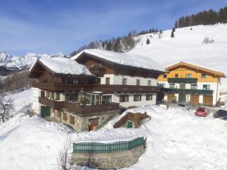 Large Apartment in Maria Alm with Terrace - Maria Alm am Steinernen Meer - 6