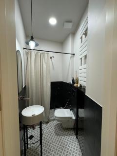 Elegant 1BR Near Mrgvali baghi - Tbilisi - 7