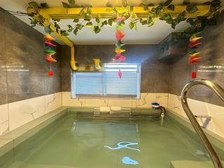 Hot Spring Vacation House - Rotorua - 9