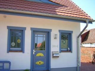 FH Carpe Diem - Zingst - 5