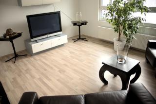 City Ferienwohnung Gaggenau - 3
