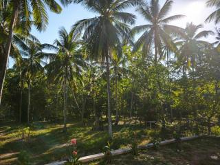 The Secret Garden Homestay Koh Yao Yai - Ban Lo Pla Lai (1) - 4