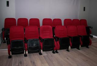 Villa für 10 Personen in Ostfriesland mit Kino, Bar, Sauna und Whirlpool - Backemoor - 7