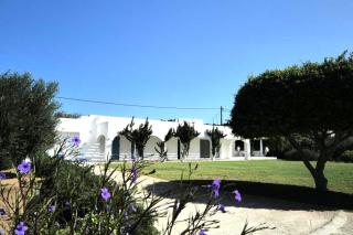Villa Omega in Kokkali, Leros - - 0